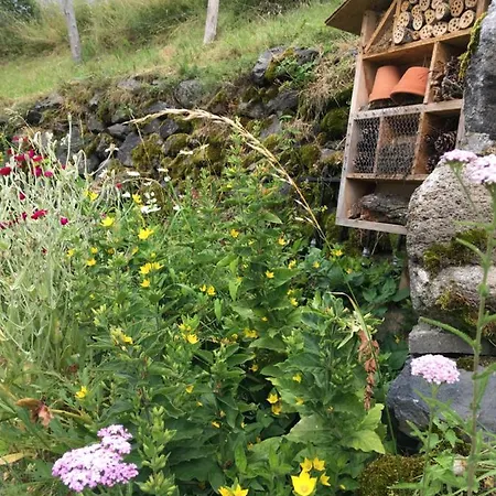 Bed & Breakfast Chez Mary Elise Le Claux